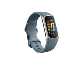 Fibit Charge 5 Pulsera de Actividad Azul