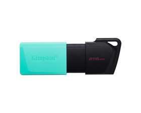 Kingston DataTraveler Exodia M Unidad Flash USB 256GB USB 3.2 Negro/Turquesa
